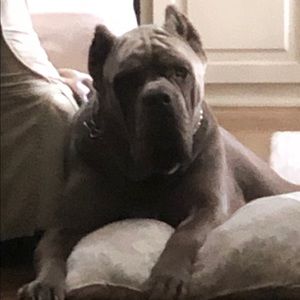 Meet your Posher, Clint